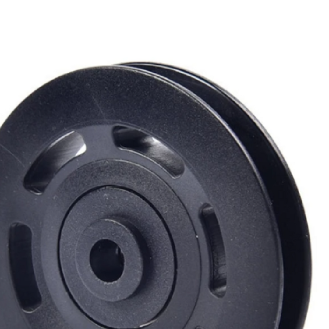 Remplacement | Poulie en plastique de 96 mm