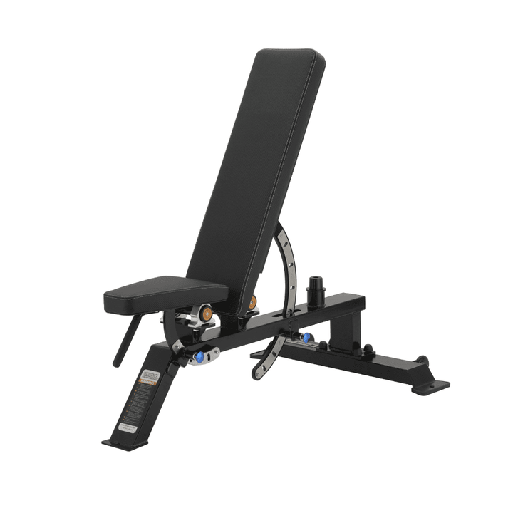 Professional Adjustable Muscle Training Bench