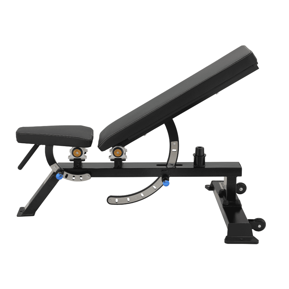 Professional Adjustable Muscle Training Bench
