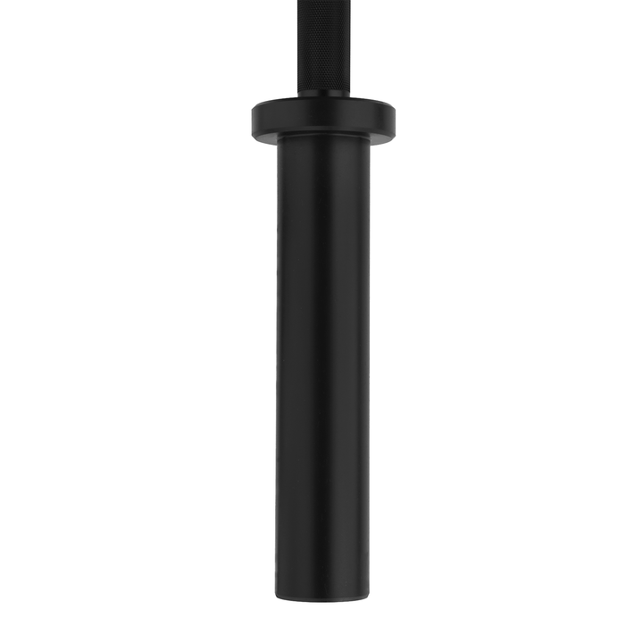 Barre de technique noire 1,8 m * 50 mm 2 roulements 22 kg
