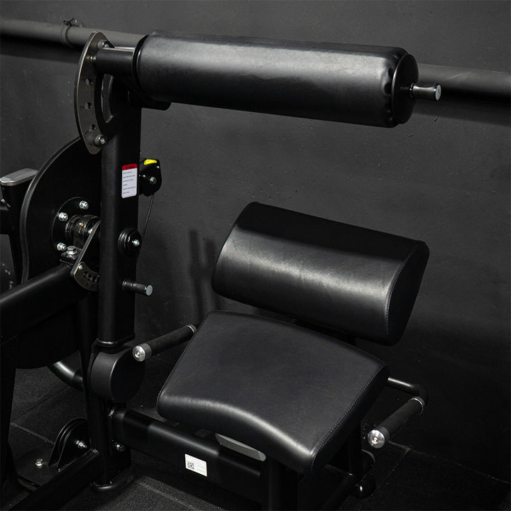 Crunch Abdominal y Extensión de Espalda | Máquina selectorizada dual - Pro Series respaldo