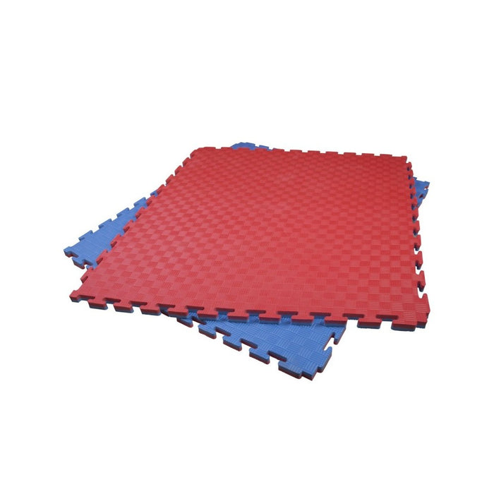 Puzzle Professionnel Tatami 100x100x2 cm Bleu et Rouge